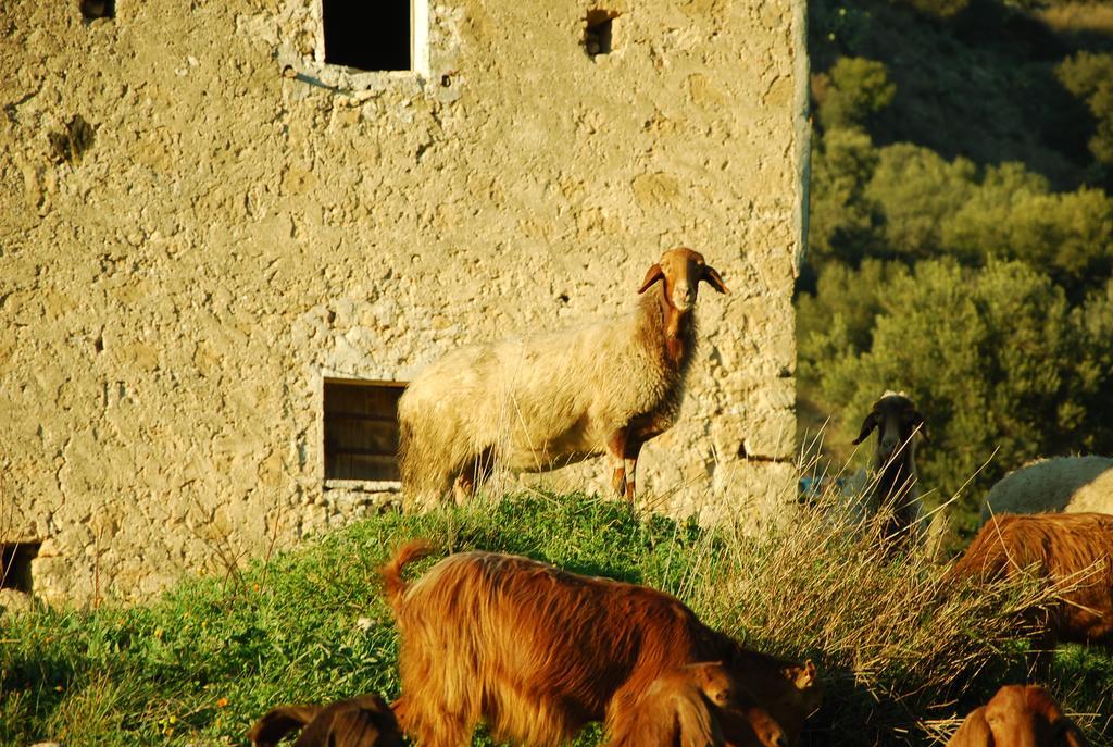 Experience Il Paesino Ξενοδοχείο Licodia Eubea Εξωτερικό φωτογραφία